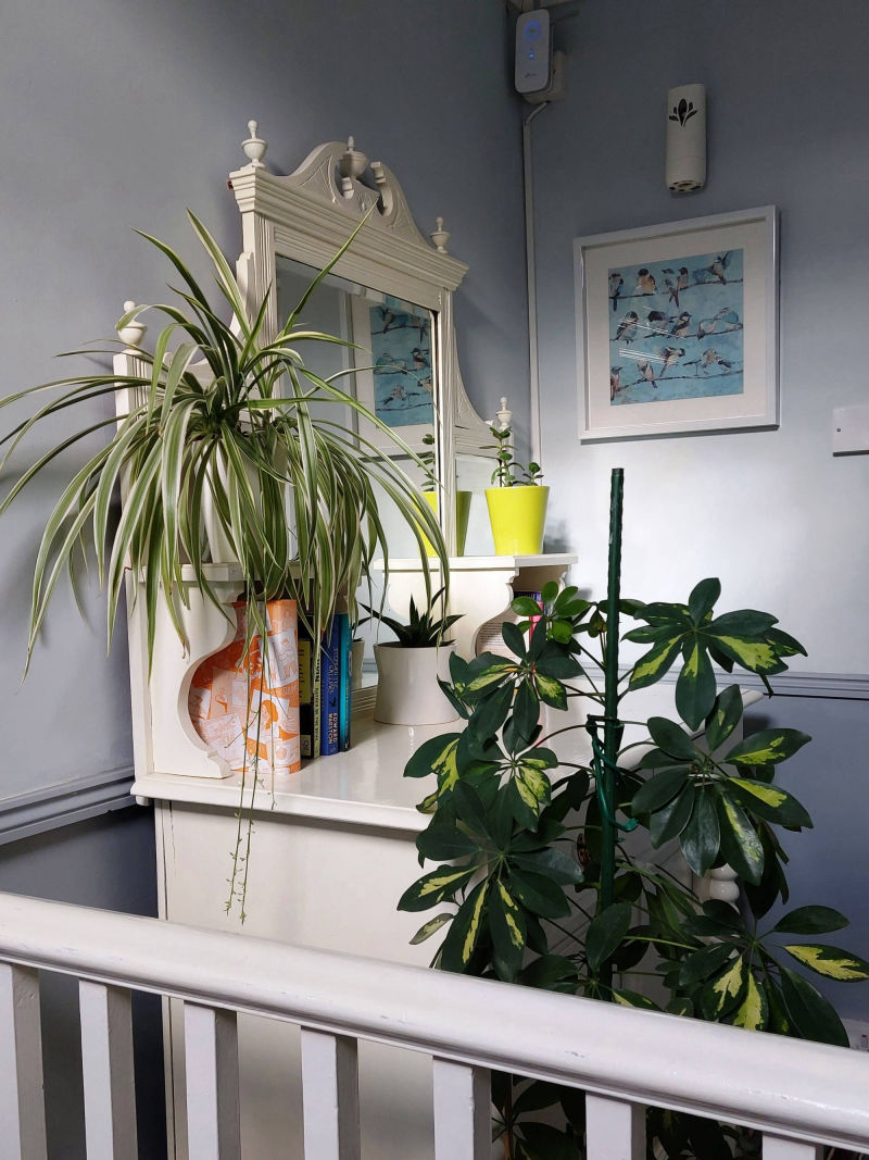 The Elmfield Upstairs Landing